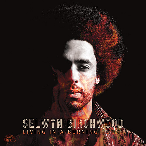 Living In A Burning House by Selwyn Birchwood